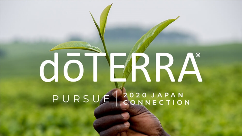 Japan-Connection-2020