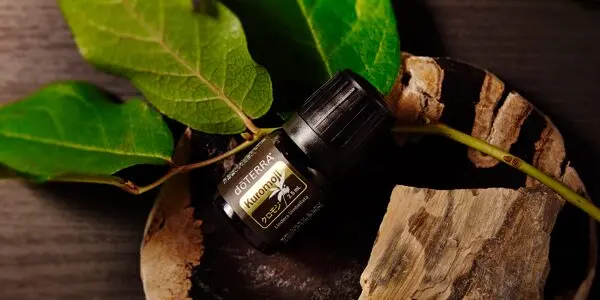 【❗️新品 未開封】ドテラ ミルラ 15ml 期限28年3月 ネコポス発送 ドテラ doTERRA ミルラ15ml 新品未開封 Amazon.co.jp: dōTERRA