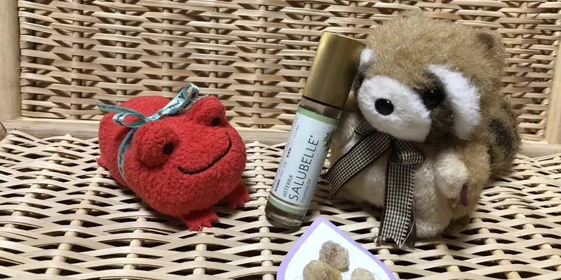 はじめての方へ